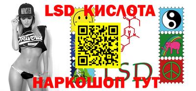 индика Гусев