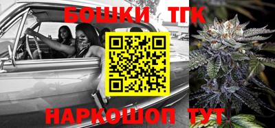 индика Гусев