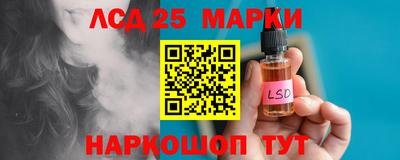 индика Гусев