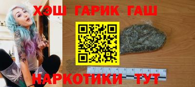 индика Гусев