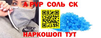 индика Гусев